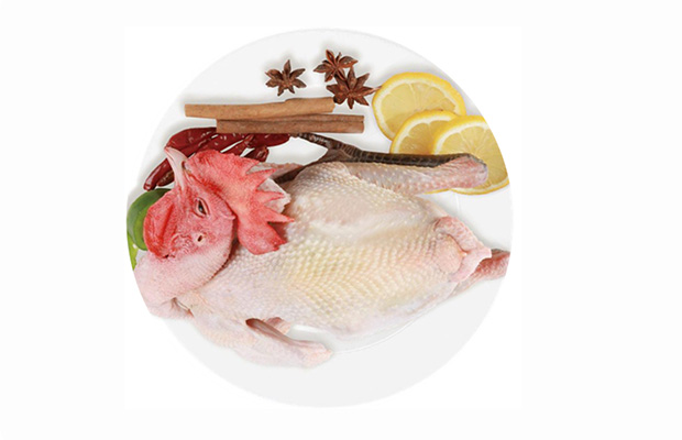 散養(yǎng)森林跑步雞