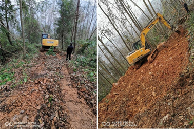 森林跑步雞“操場”擴(kuò)建開工